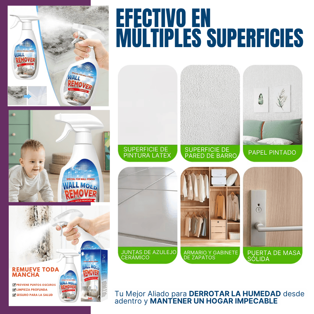 Removedor de moho | Paredes más limpias, frescas y protegidas en minutos