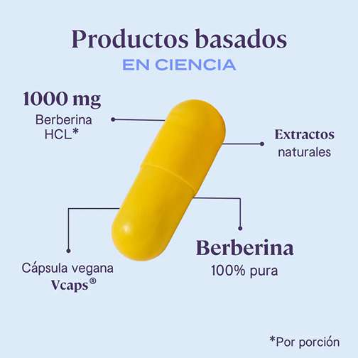 Equilibrium Extracto de Berberina | Salud y Bienestar en Cada Cápsula