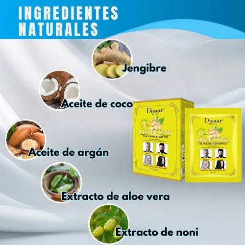 Shampoo Cubrecanas Disaar | ¡Recupera color sin dañar el cabello!