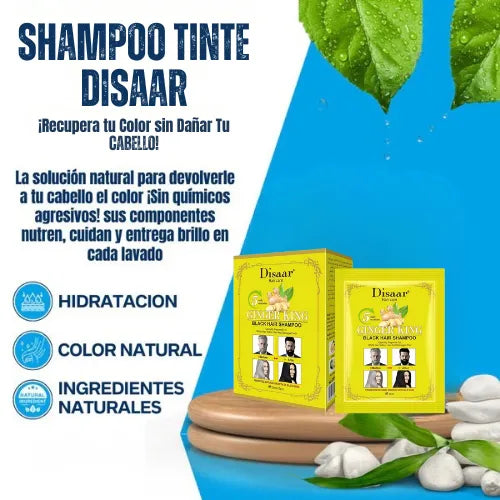 Shampoo Cubrecanas Disaar | ¡Recupera color sin dañar el cabello!